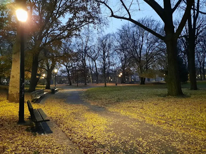 Lincoln Terrace / Arthur S. Somers Park Picture 10
