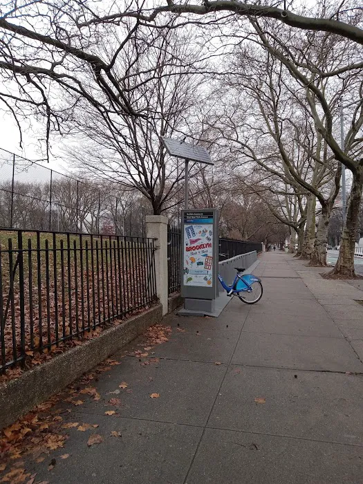 Lincoln Terrace / Arthur S. Somers Park Picture 9