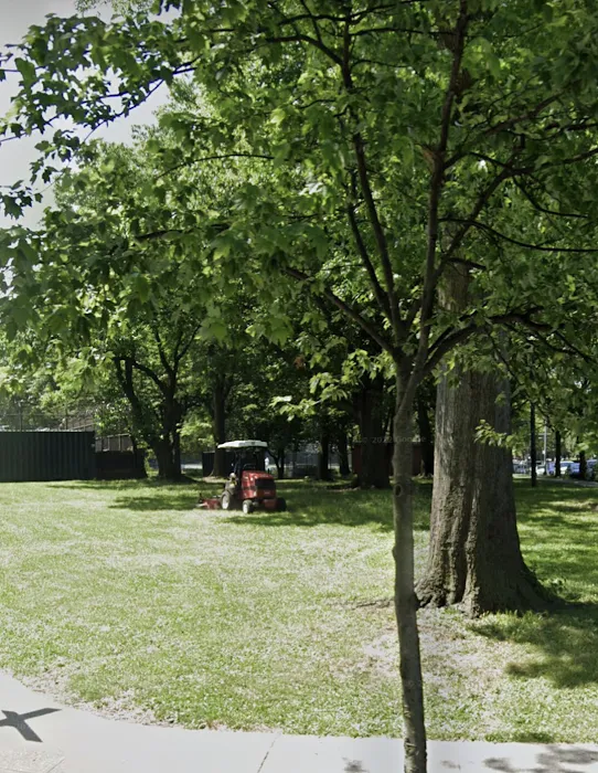 Buffalo Garden Picture 10