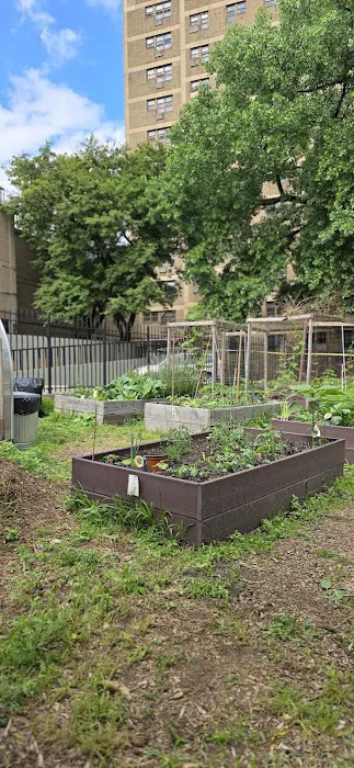 Fred McLeod Community Garden Picture 1