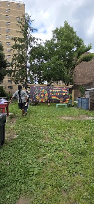 Fred McLeod Community Garden Picture 5