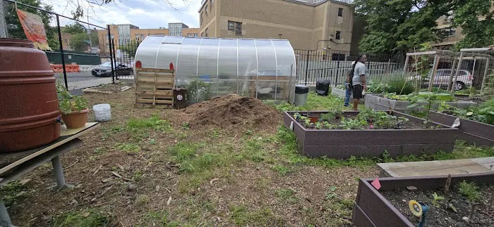 Fred McLeod Community Garden Picture 4