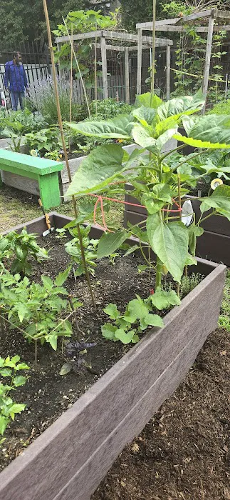 Fred McLeod Community Garden Picture 6