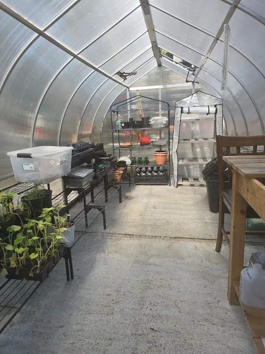 Fred McLeod Community Garden Picture 9
