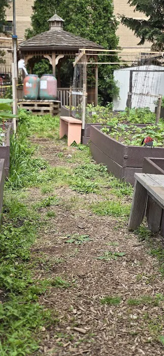 Fred McLeod Community Garden Picture 8