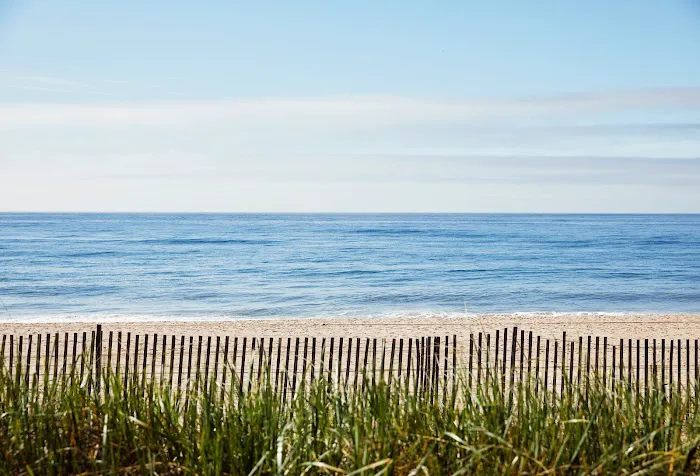 Marram Picture 8