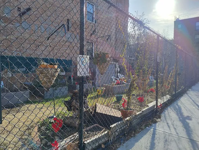 Halsey Ralph & Howard Community Garden Picture 1