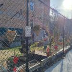 Halsey Ralph & Howard Community Garden