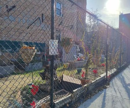 Halsey Ralph & Howard Community Garden