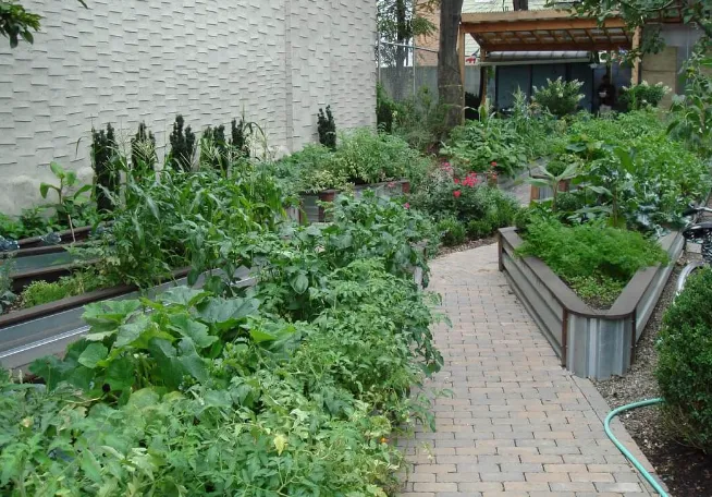 Scholes Street Children's Garden Picture 5