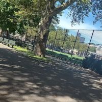 Sternberg Park Dog Run ico