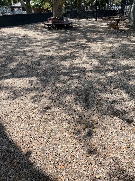 Sternberg Park Dog Run Picture 3