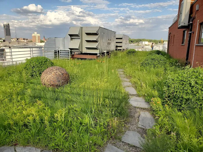 Kingsland Wildflowers Green Roof & Community Engagement Center Picture 4