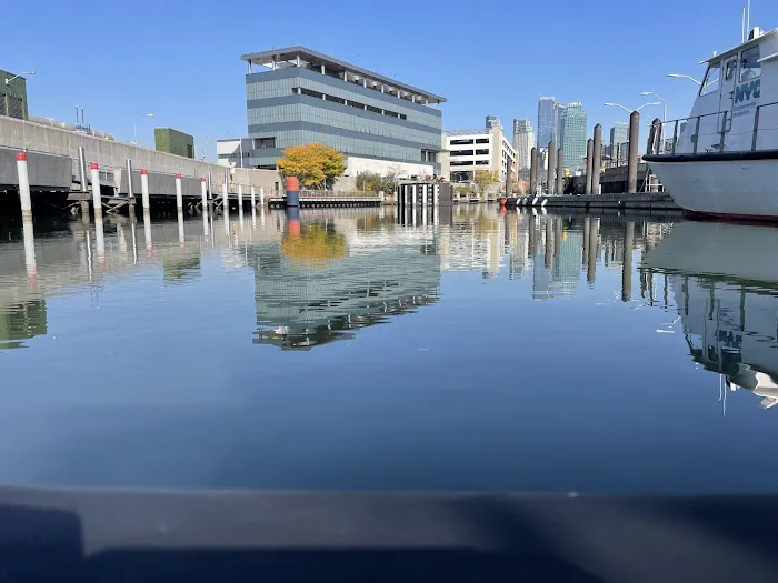 Newtown Creek Nature Walk Phase 3 Picture 4