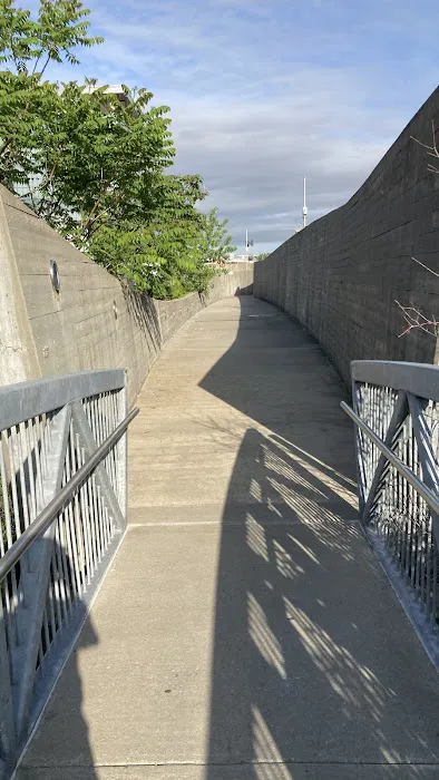 Newtown Creek Nature Walk Phase 3 Picture 2