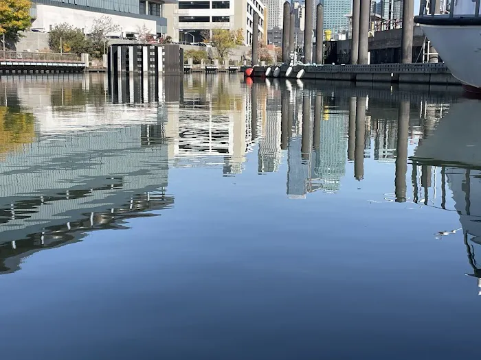Newtown Creek Nature Walk Phase 3 Picture 6