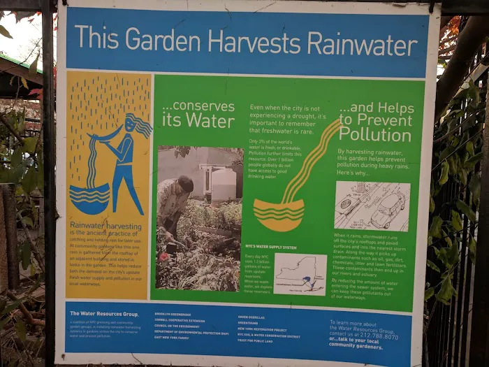 LIC Roots Community Garden Picture 3