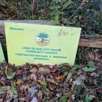 LIC Roots Community Garden ico