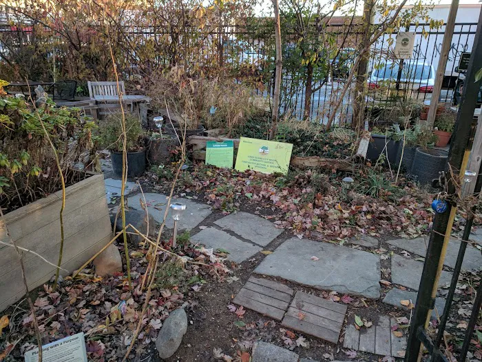 LIC Roots Community Garden Picture 4