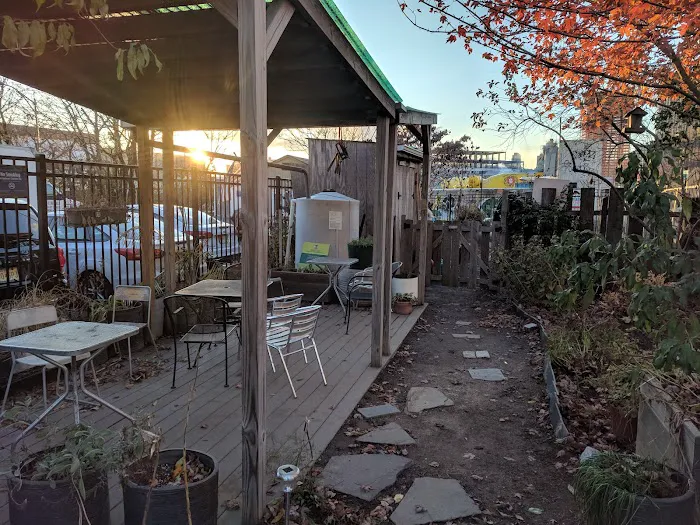 LIC Roots Community Garden Picture 5