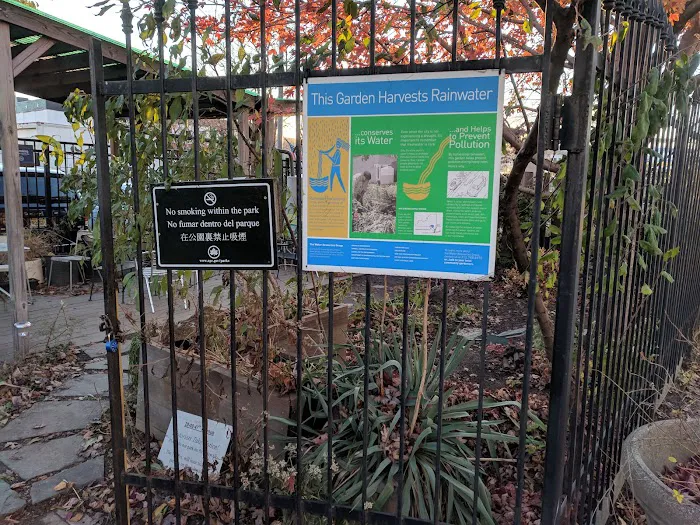 LIC Roots Community Garden Picture 6