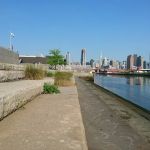 Newtown Creek Nature Walk