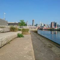 Newtown Creek Nature Walk ico