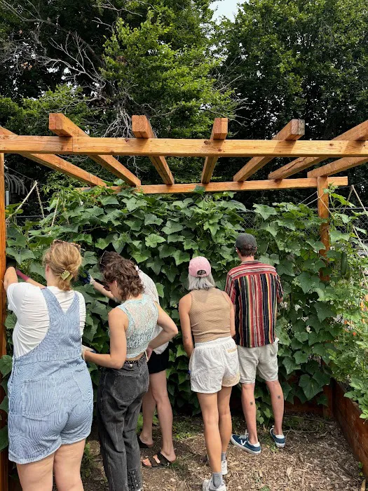 McCarren Park Demonstration Garden Picture 7