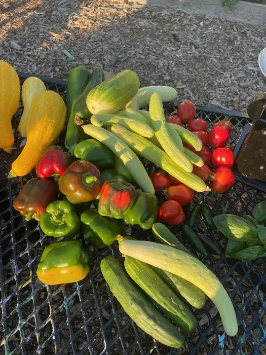 McCarren Park Demonstration Garden Picture 5