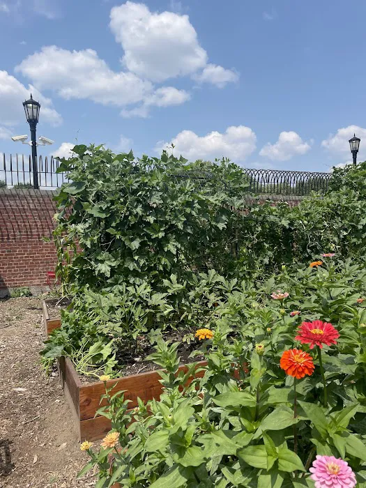 McCarren Park Demonstration Garden Picture 10