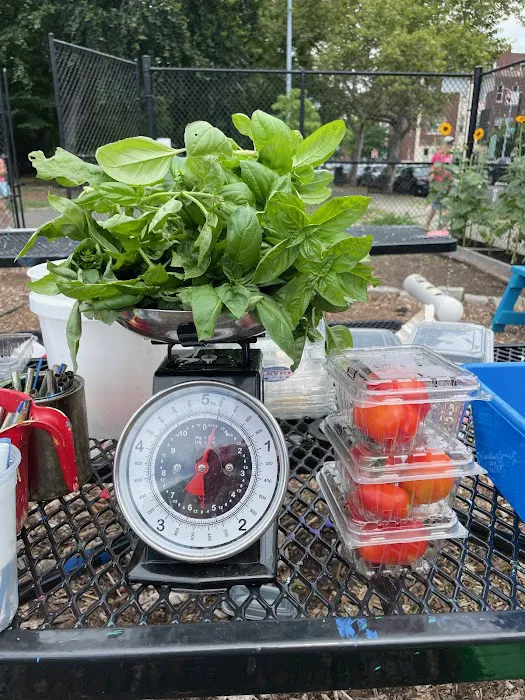 McCarren Park Demonstration Garden Picture 9