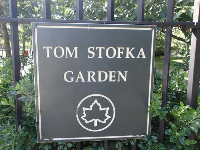 Tom Stofka Garden Picture 4