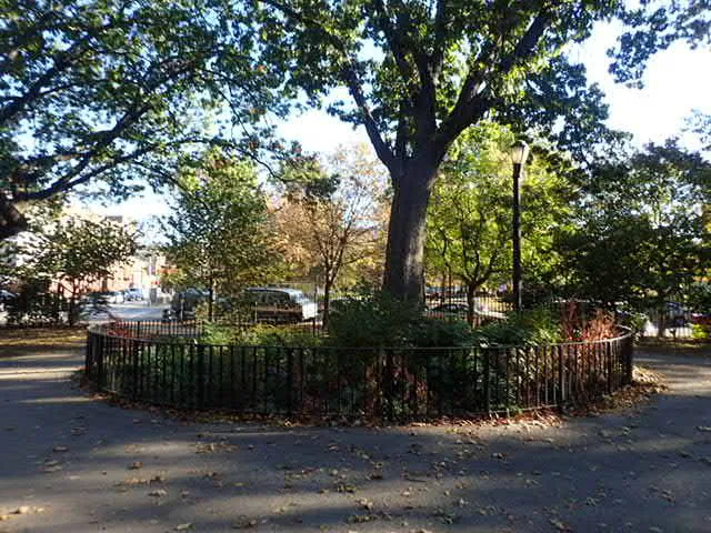 Tom Stofka Garden Picture 5