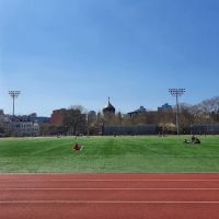 McCarren Park ico