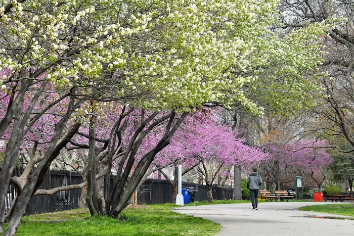 McCarren Park Picture 7
