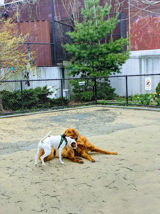 Torsney/Lou Lodati Playground Picture 4