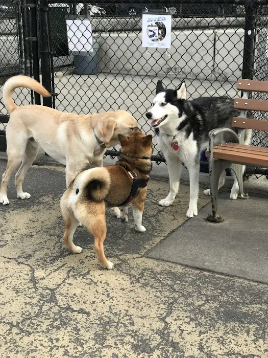 Torsney Dog Run Picture 1