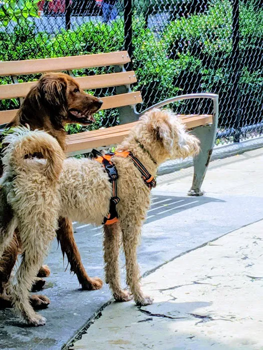 Torsney Dog Run Picture 2