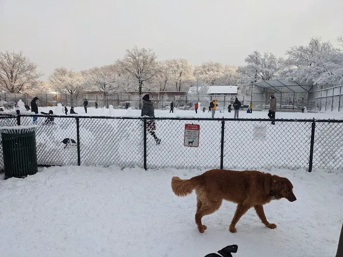 Torsney Dog Run Picture 3