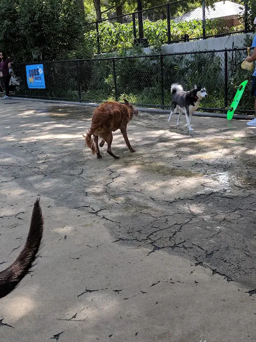 Torsney Dog Run Picture 8