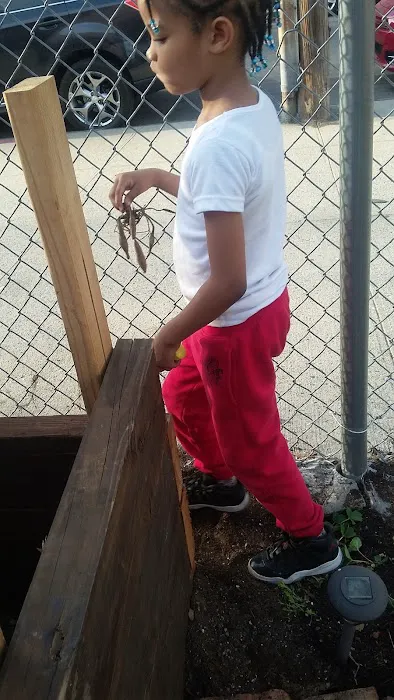 Patchen Community Square Garden Picture 3