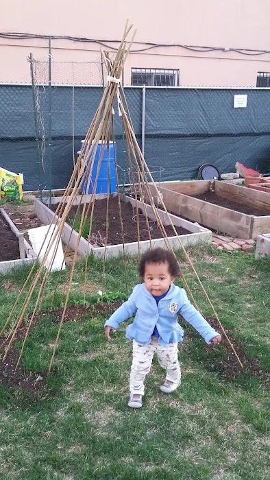 Patchen Community Square Garden Picture 4