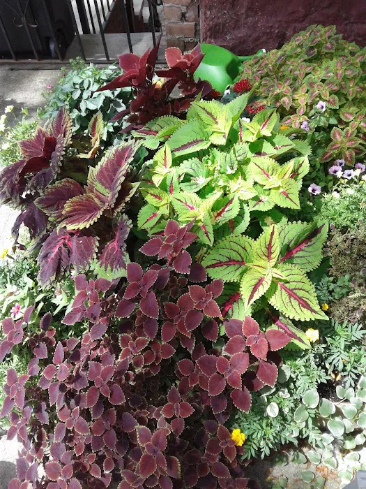 Gardens by Sue Picture 1