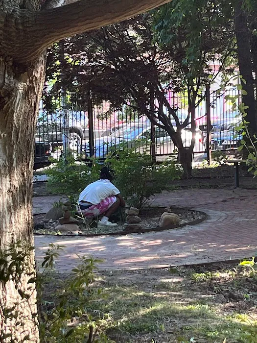 Kosciuszko Street Garden and Learning Center Picture 7