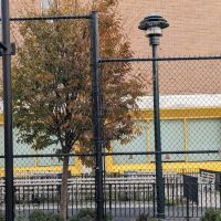 Prospect Plaza Park ico