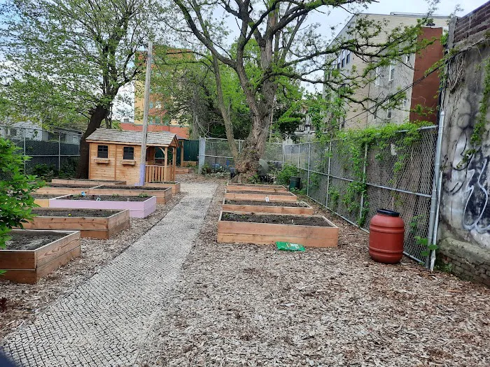 Seasons of Vision Garden Picture 3
