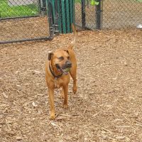 Abendroth Park ico