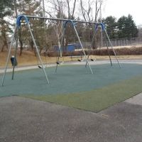 Donne Simone Park ico