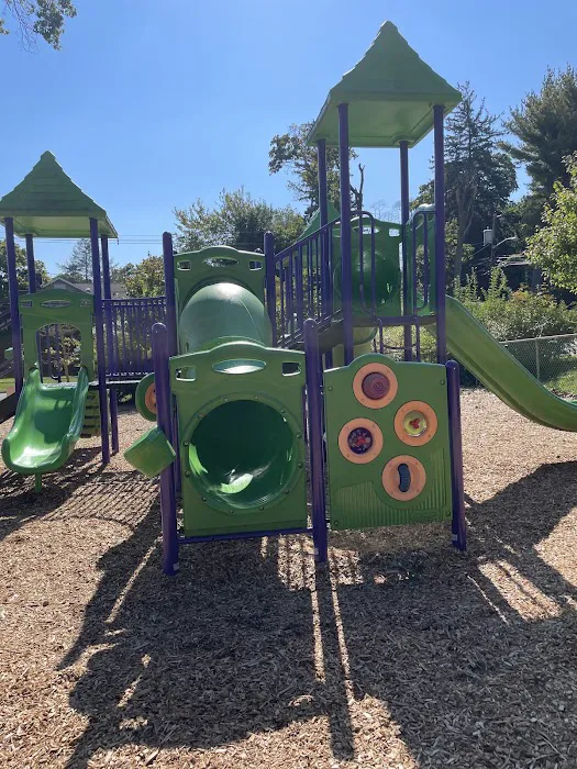 Froggy Park Picture 4
