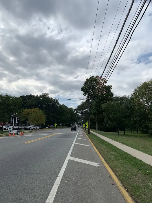 Roosevelt Common Picture 8